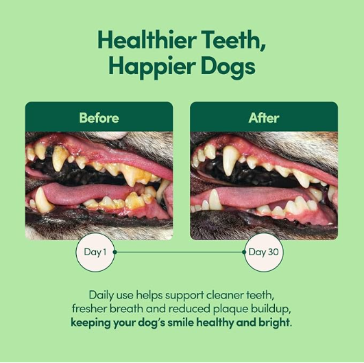 Breath Buddy Daily Dental Powder for Pets